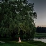 The International Wedding Willow Tree Night Shot